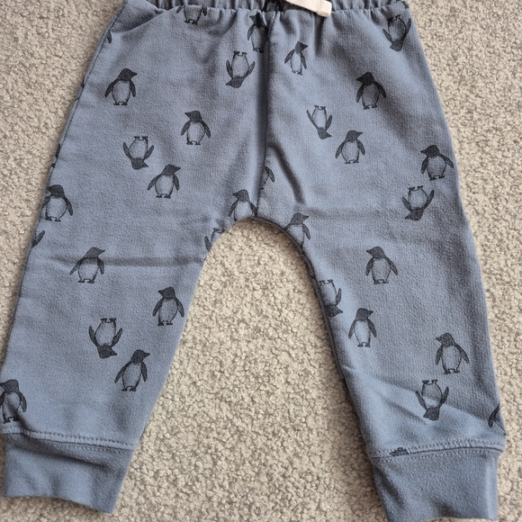 Carter's Blue Baby Outfit with Penguin Design - Picture 5 of 6